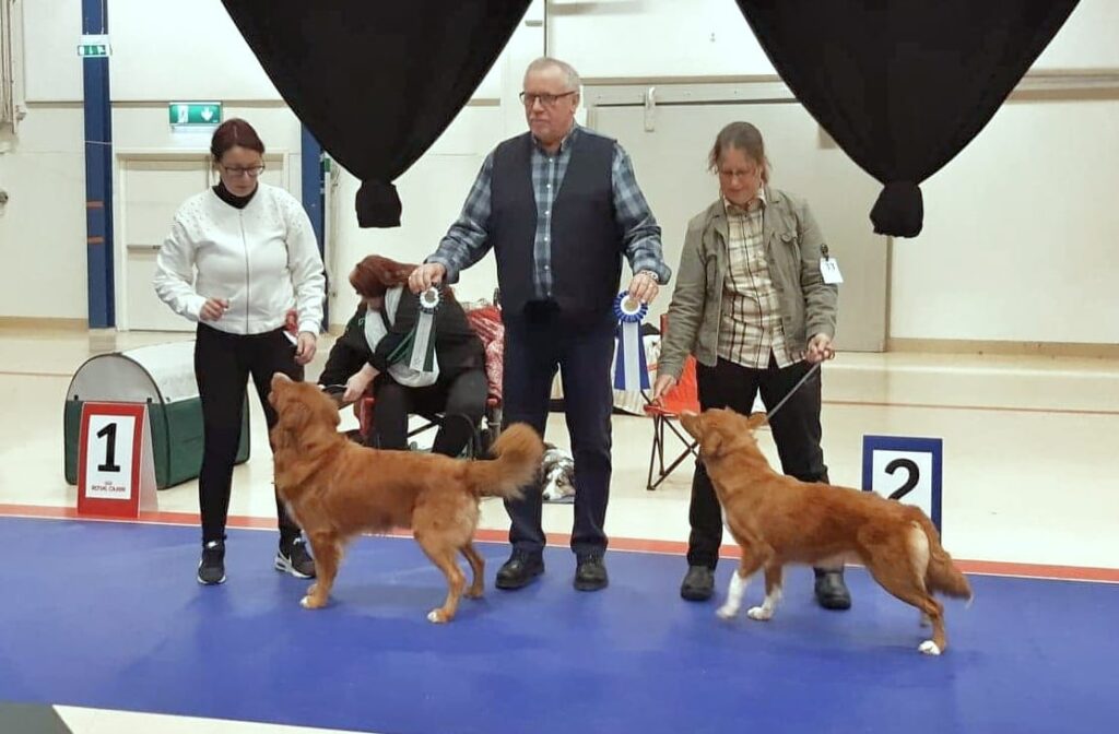20191129 bir och bim jaktklass Östersund