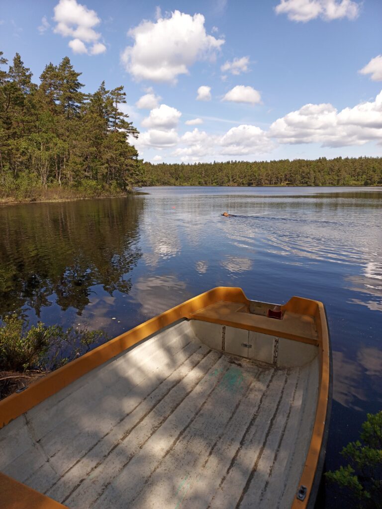 hundkurser på webben